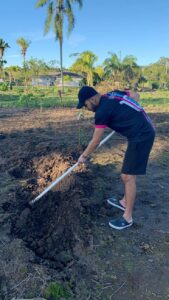 Desbroce de terrenos en Murcia