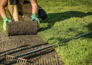 Turf (césped en tepes)