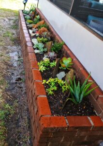 Cómo elegir las mejores macetas y jardineras