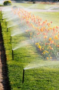 Los mejores sistemas de riego para jardines mediterráneos