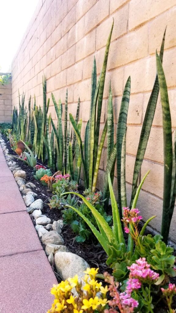 Decoración de jardines en Murcia